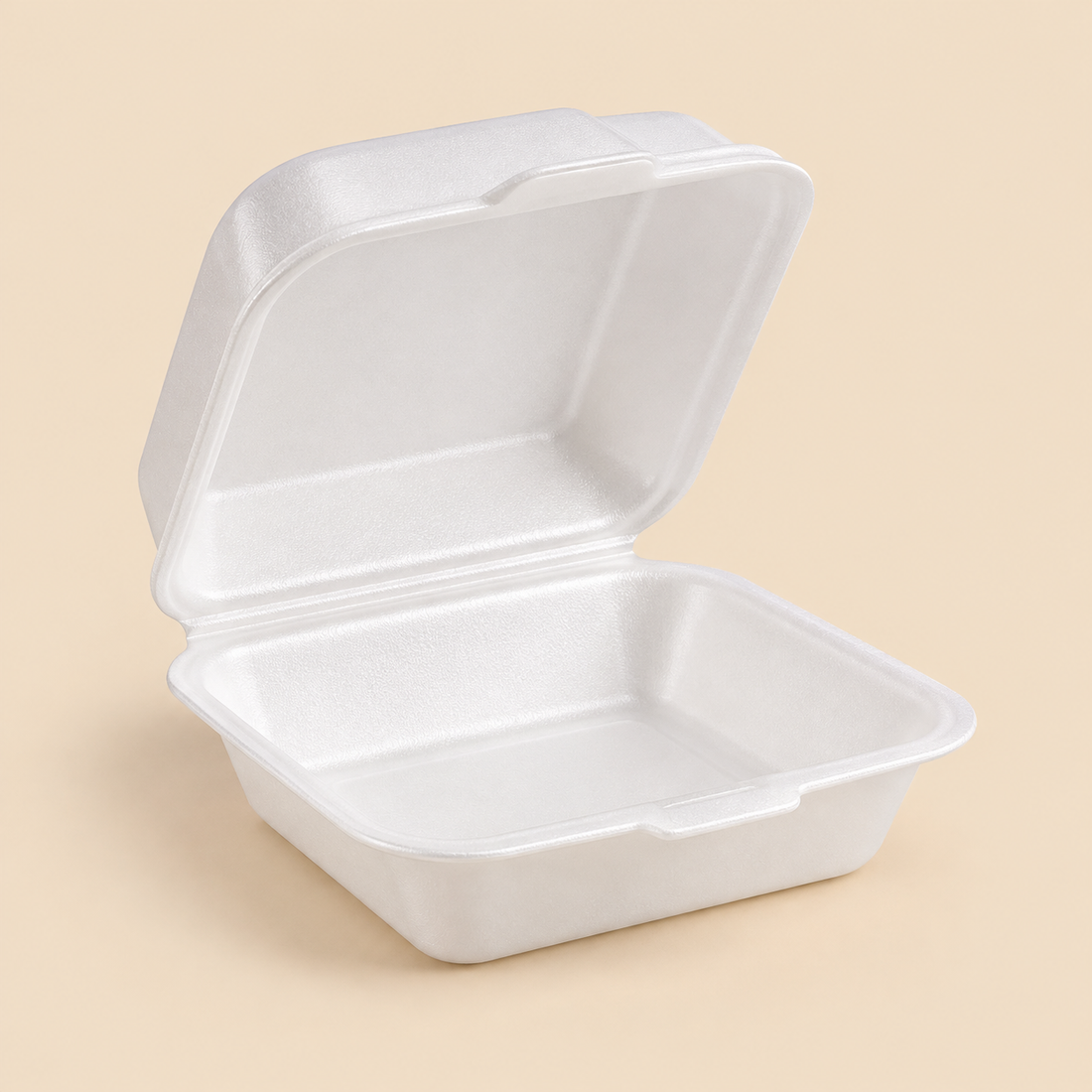 Foam Takeout Containers