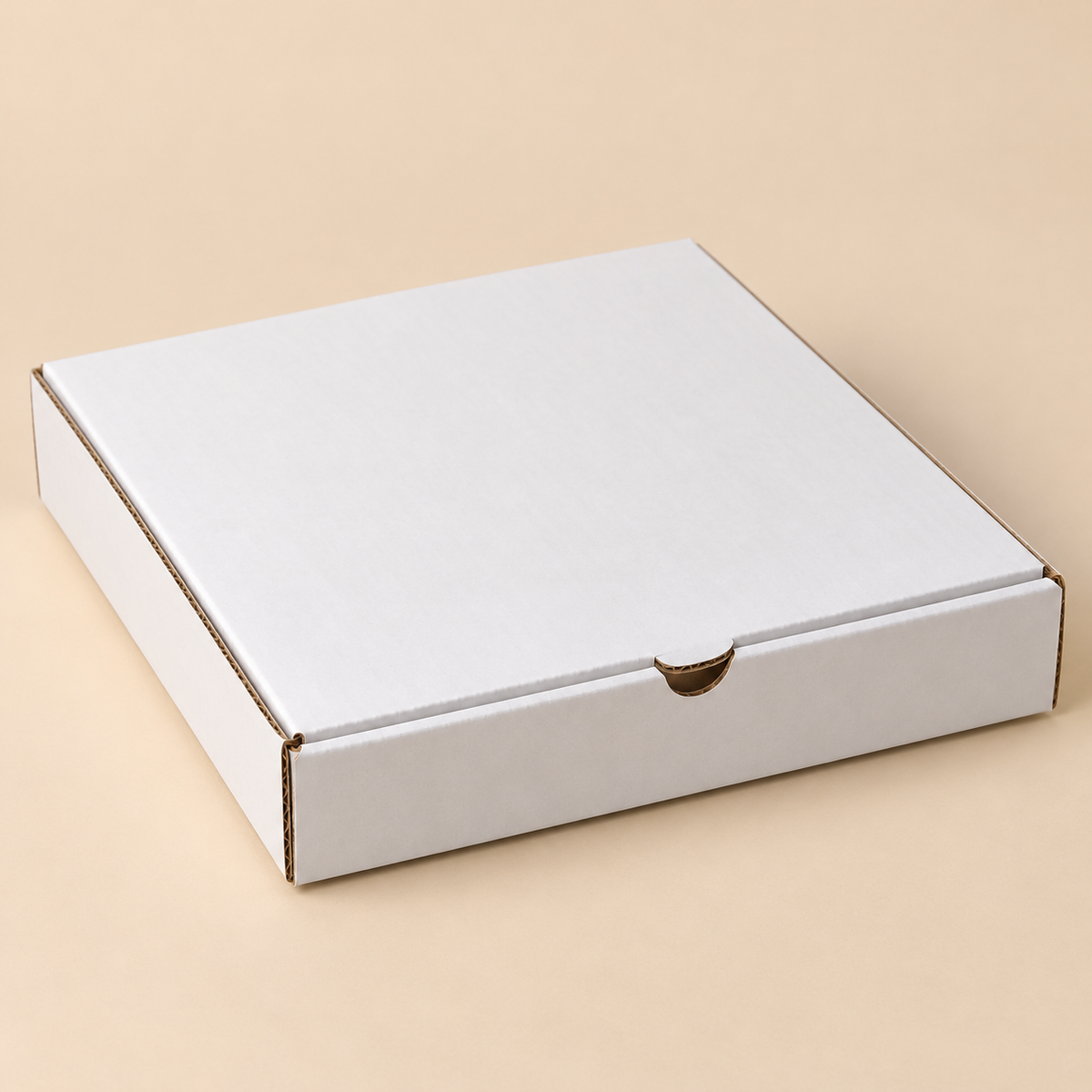 PIZZA BOX 10" ( 10 X 10 X 2 ) PLAIN WHITE  - 50 CT — illustrative studio photo on beige
