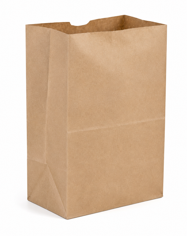 # 6 BROWN PAPER BAGS 500CT