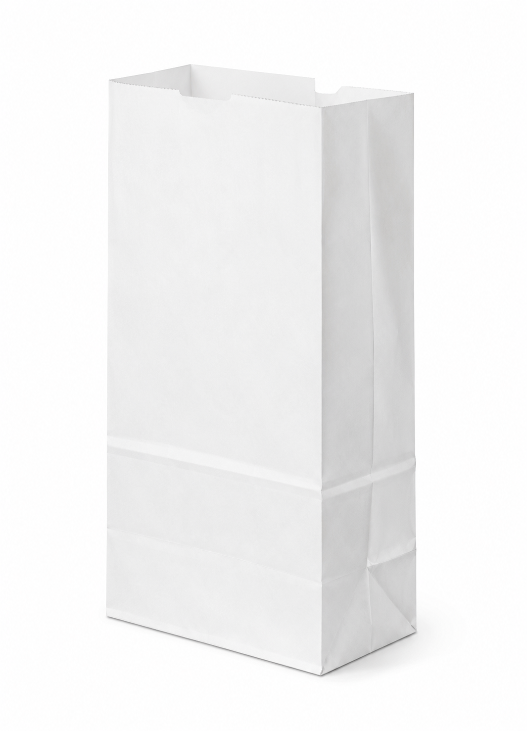 # 6 WHITE PAPER BAGS 500 CT.