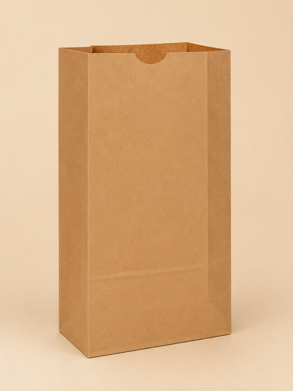 #8  BROWN PAPER BAGS 500 CT - IMP