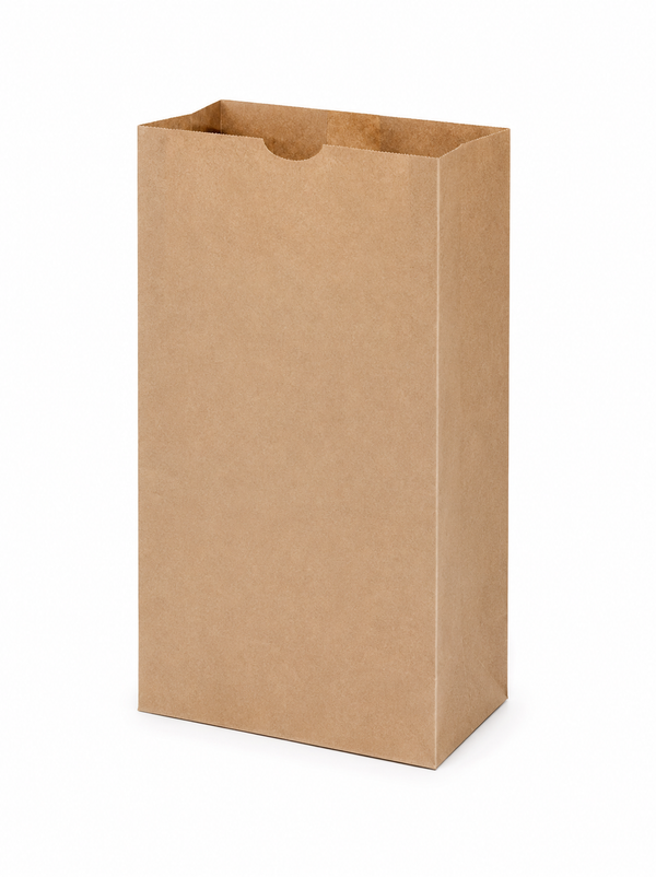 #6 BROWN PAPER BAGS - 500CT IMP
