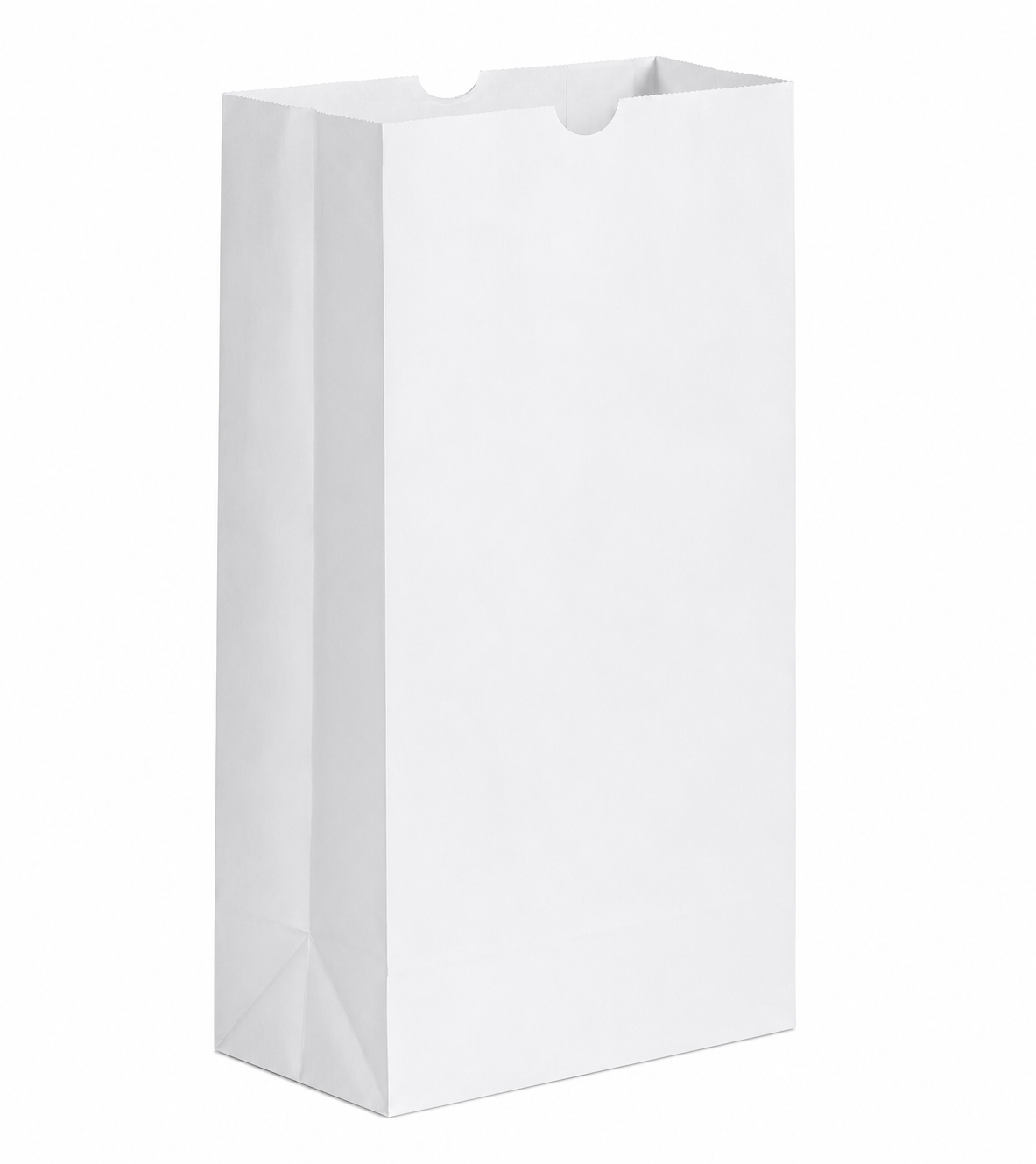 # 20 WHITE PAPER BAGS 500CT