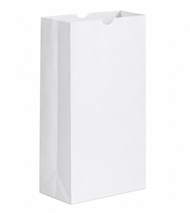 # 20 WHITE PAPER BAGS 500CT