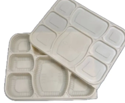 8 COMPT MEAL TRAY BIO DEGRADABLE - 250CT