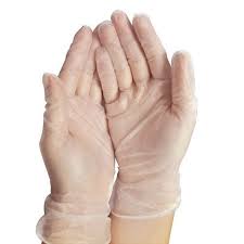 VINYL GLOVES LARGE 100 CT.  (NO EXCHANGE / NO RETURN )
