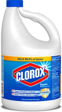 CLOROX BLEACH - 1 GALL
