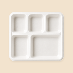 5 COMP MEAL TRAY BIO DEGRADABLE  - 250CT — full product view on beige background