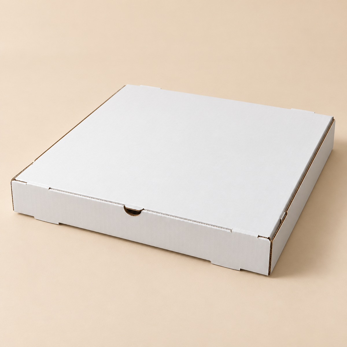 PIZZA BOX 16'(16'X16'X2') PLAIN WHITE - 50ct — beige studio product photo